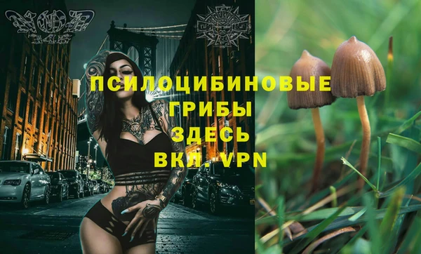 круглые Арсеньев