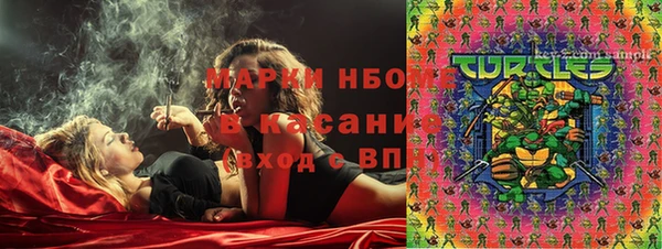 ПСИЛОЦИБИНОВЫЕ ГРИБЫ Аркадак