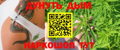 шишки Михайловск