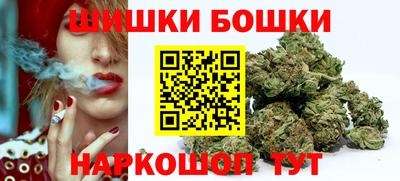 шишки Михайловск