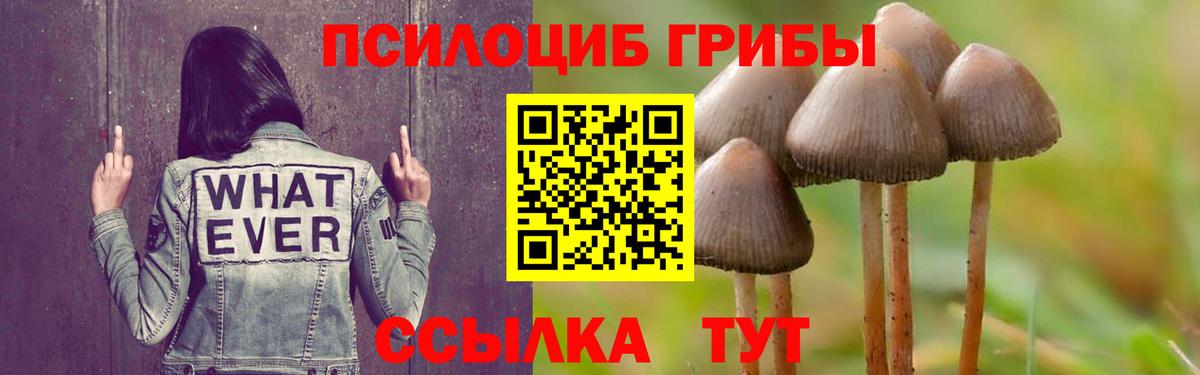 Псилоцибиновые грибы GOLDEN TEACHER Белорецк